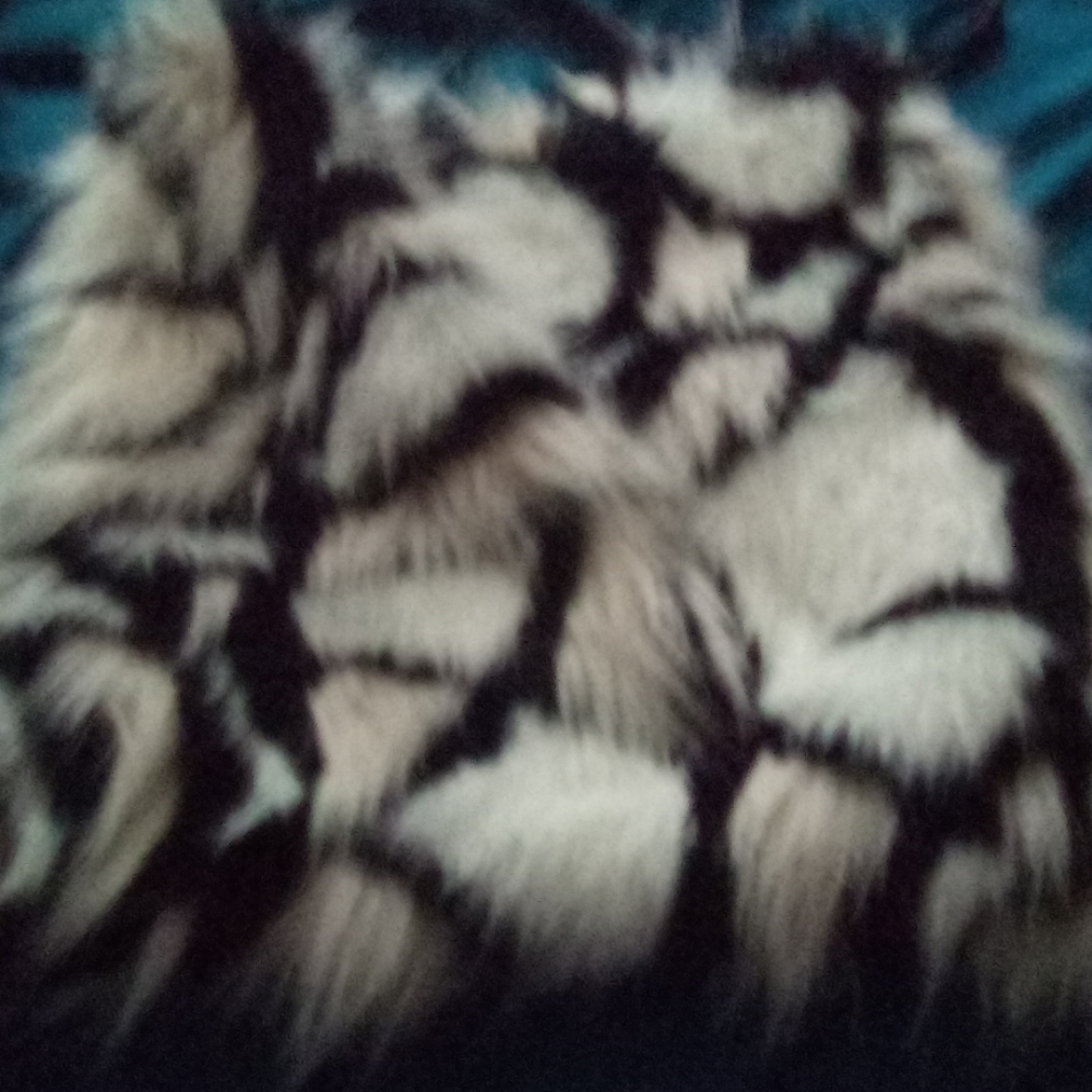 Purses - Picture 2 of 3